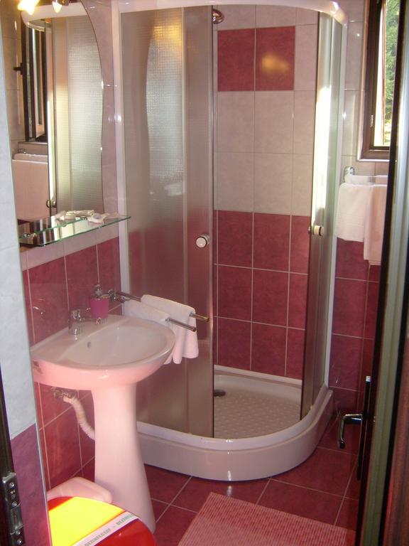 ホテル Pensiunea Speranta ソバタ 部屋 写真